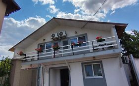 Vila Alexandra